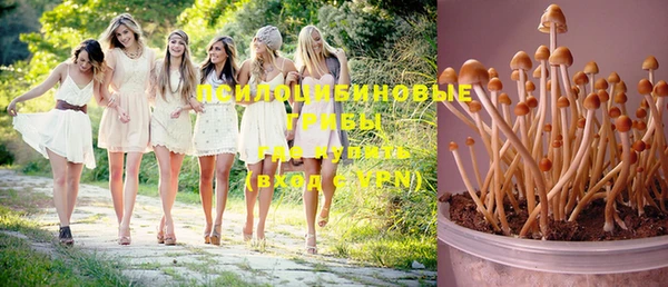 гашиш Дмитров