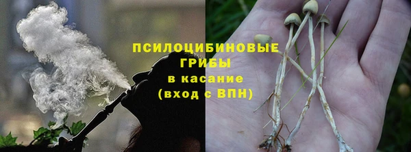 гашиш Дмитров