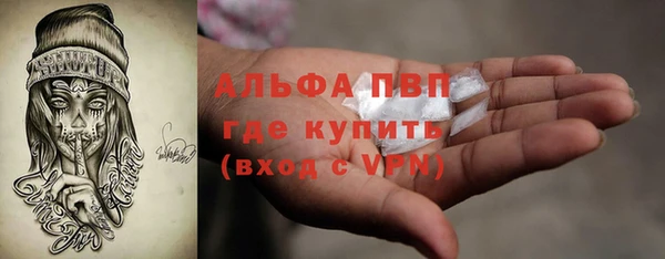 МДПВ Дмитриев