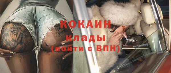 МДПВ Дмитриев