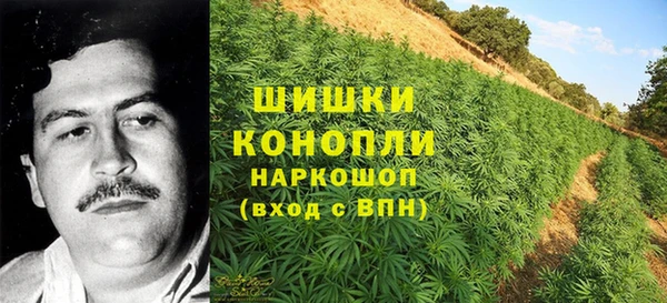 гашиш Дмитров