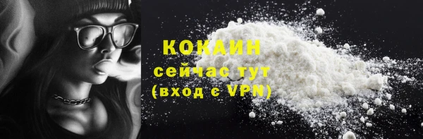 МДПВ Дмитриев