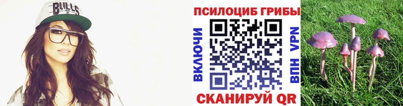 Галлюциногенные грибы мухоморы  Купить где  Янаул 